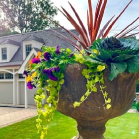 Seasonal Planter Arrangement by Lauren Mackin Outdoor Design item