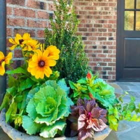 Seasonal Planter Arrangement by Lauren Mackin Outdoor Design item