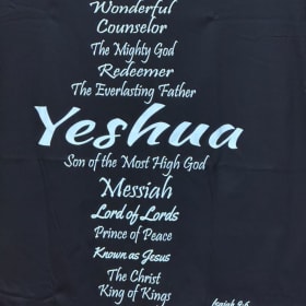 Wonderful Counselor T-shirt item