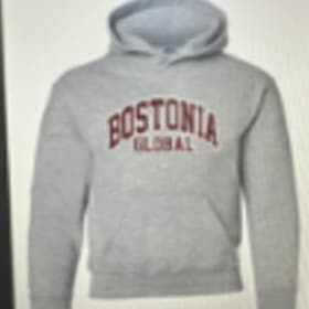 CLEARANCE -- Bostonia Global Grey Sweatshirt item