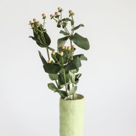 Sarah-Jeanne Riberdy item