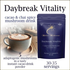 Mushroom drink mix item