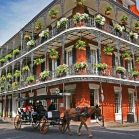 Trip to New Orleans item