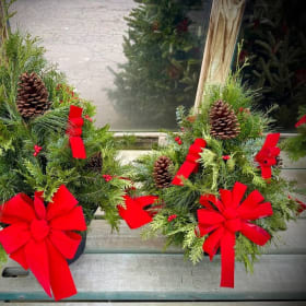 Medium Porch Pot item