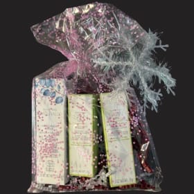 Mary Kay Lip Pampering Kit item