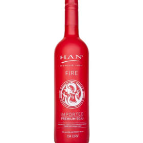 Shot Ski Ticket item