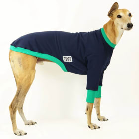 HoundTee Boop Sweater - Greyhound Medium item