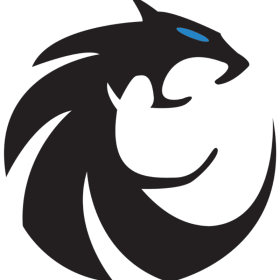 Misc - TShirt Plain or Old Design item