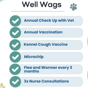 Annual Health Plan for Your Cat or Dog item