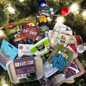 Global Pet Foods - Cat Gift Basket item