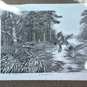 The Little Pee Dee River by Ernest Little Helms III item