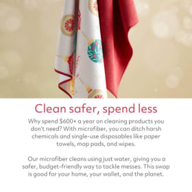 $65 Norwex Eco-Cleaning Shopping Spree item