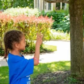 One Week at Sign Language Summer Day Camp 🤟 item