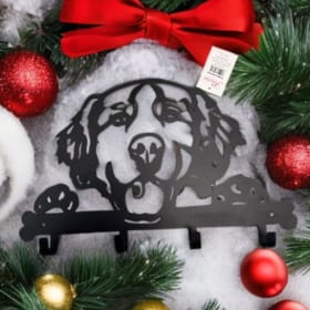 Brisco’s Furniture - Golden Retriever Hook item