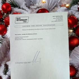 Boyne Vet Clinic - Feline Annual Appt Voucher ($138 Value) item