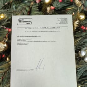 Boyne Vet Clinic - Canine Annual Appt Voucher ($173 Value) item