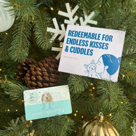 $100 Pet Essentials Gift Card – Spoil Your Fur Baby item