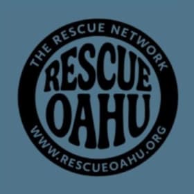 Men's T-shirt - Full Front Logo - Ash Blue item