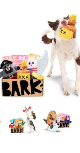 Bark Box Digital gift certificate - $45 value item