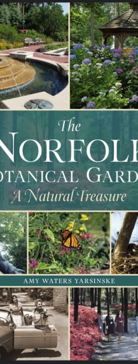 Norfolk Botanical Gardens Bounty Basket - $330. total value item