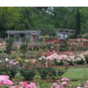 Norfolk Botanical Gardens Bounty Basket - $330. total value item