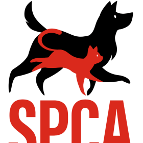 SPCA - Billet tirage Mazda 2026 item