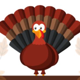 Option 2- Turkey Visit, Certificate & Goody Bag item