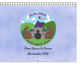 2026 Calendar Pick Up item