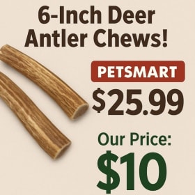 6-Inch Deer Antler Chew item