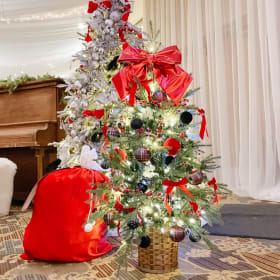 Top Gun Environmental 4' Pre-lit Potted Spruce Tree item