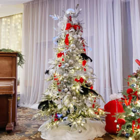 Platinum Chemical Solutions 7' Rhodes Alpine Snow-Dusted Tre item