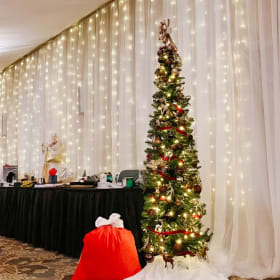 Krinke Law 7' Boulevard Pencil Tree item