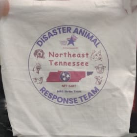 Canvas Tote Bag item