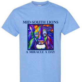 BLUE "FAB" T-Shirts 2XL - 5XL item