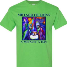 GREEN "FAB" T-Shirts 2XL - 5XL item