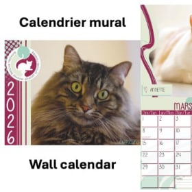 Calendrier mural / Wall calendar item