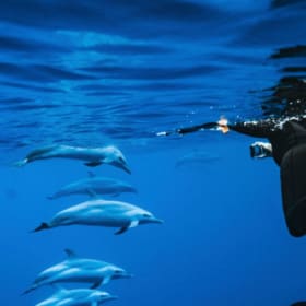 Any Snorkel Tour for 2 with Ikura Dolphin item