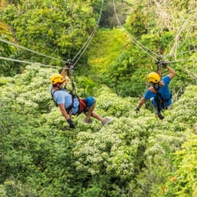 Kohala Zipline Canopy Adventure for 2 people ($472 Value) item
