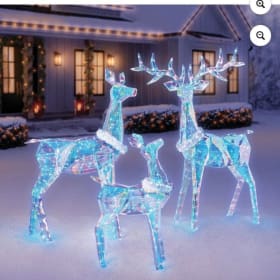 Raffe # 1 Outdoor Christmas Decorations-only 26 tickets sold item