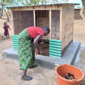 Poultry Project item