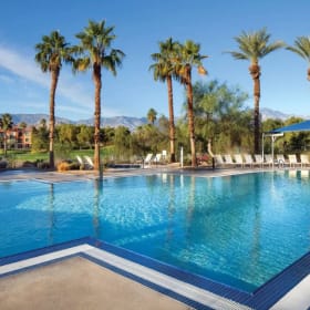 A Week at a Resort in the Desert item