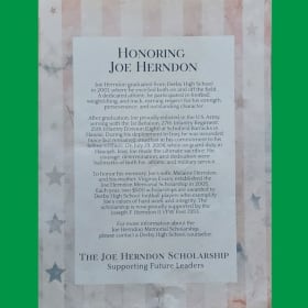 Joe's Tree by Virginia Evans item