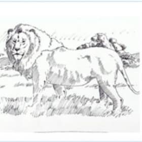 The Monarch Multi-Purpose Cards item