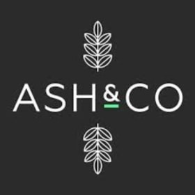 Ash & Co 'Cookie the Kitten' Mini Maker Kit item