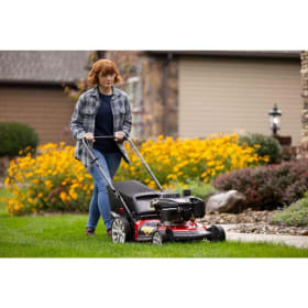Lawn Mower item