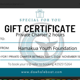 2 Hour Private Charter for up to 6 People with Da Whale Boat item