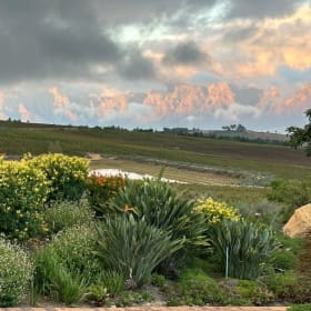 A Week In the Cape Winelands, South Africa item