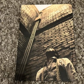 MA RAINEY’S BLACK BOTTOM FROM STAFE TO SCREEN BOOK NEW item