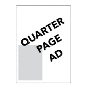 $150 QUARTER PAGE-Sixth Group of Ads Digitally item