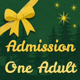 Single Day Admission - One Adult item